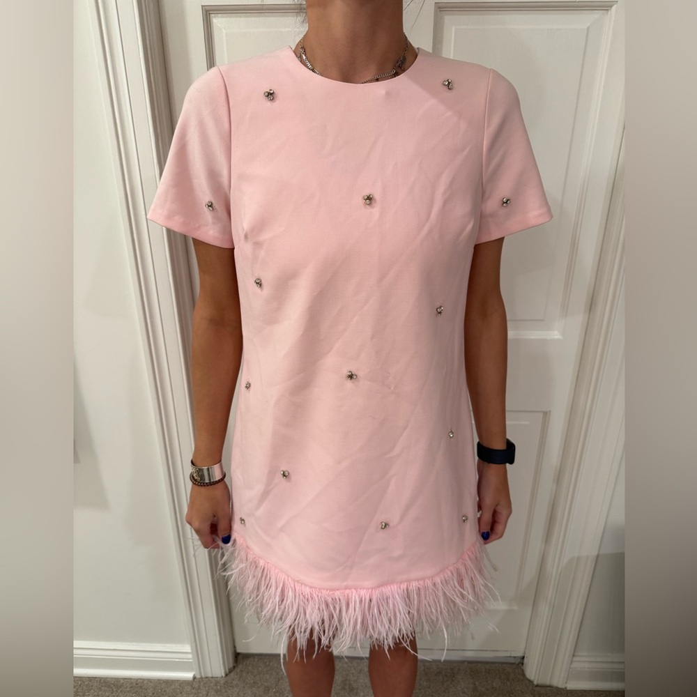 Pink Feather Hem Dress with Embellishments